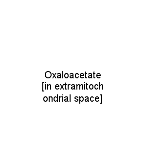 Oxaloacetate [in extramitochondrial space]
